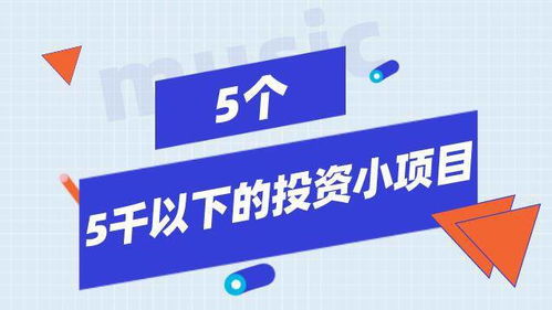 KY开云哪些小项目投资最赢利(图1)